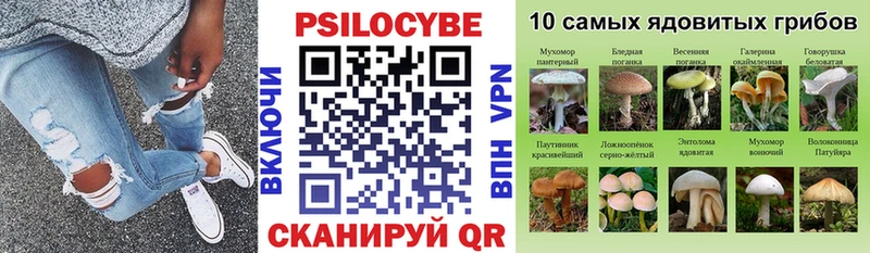 хочу   мега маркетплейс  Псилоцибиновые грибы мухоморы  Волхов 
